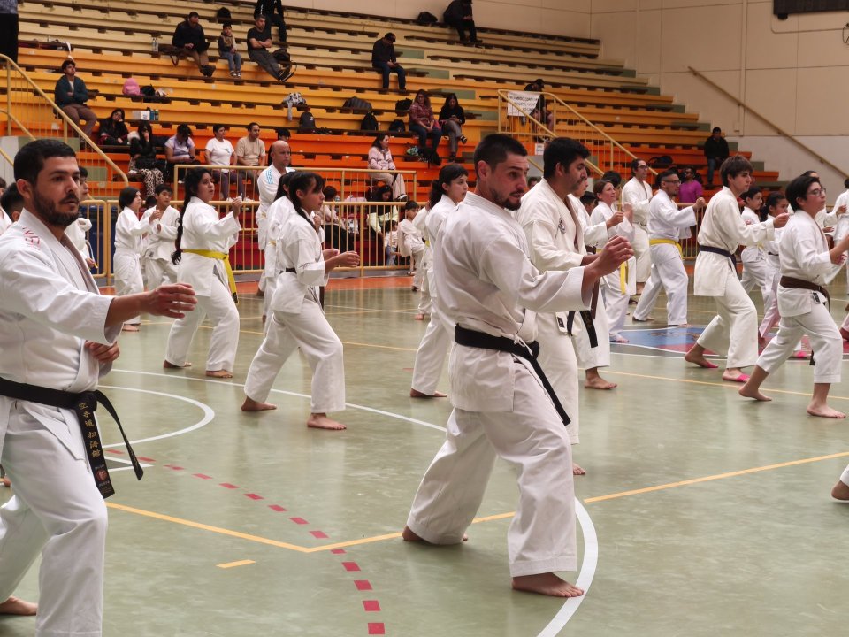 /karate-en-accion-dojo-kobushi-fortalece-la-formacion-deportiva-con