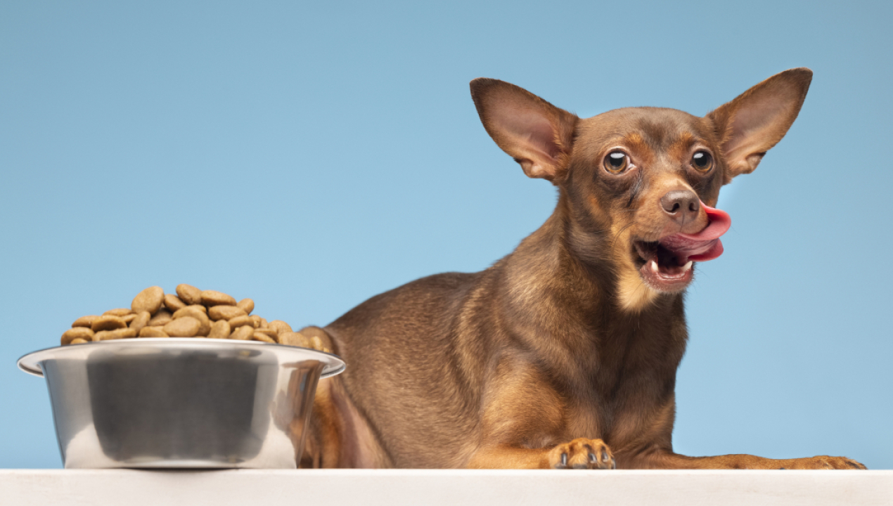 /cuidado-con-la-parrilla-los-alimentos-del-18-que-ponen-en-riesgo-la-salud