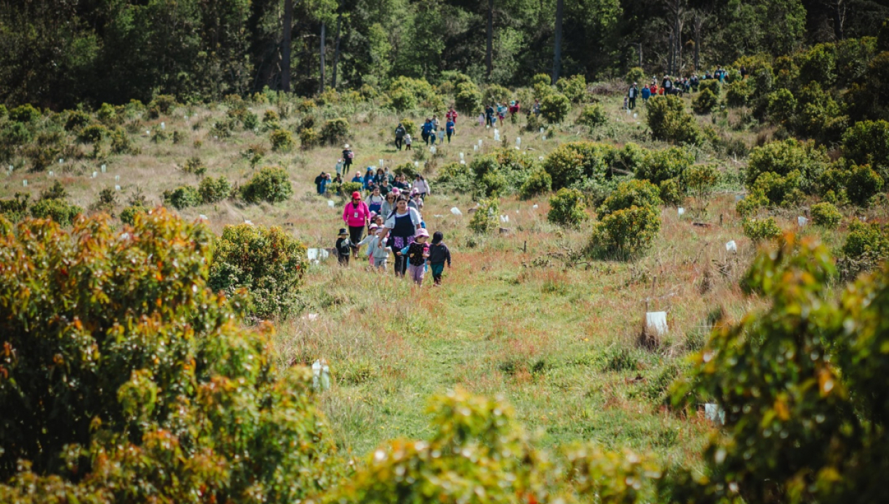/trekking-preescolar-en-el-parque-ecologico-promueve-actividad-fisica-y