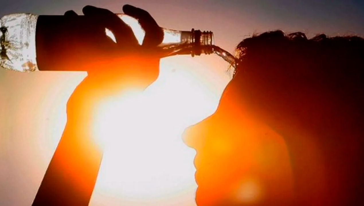 /entrevista-un-golpe-de-calor-puede-provocar-la-muerte-como-reconocerlo