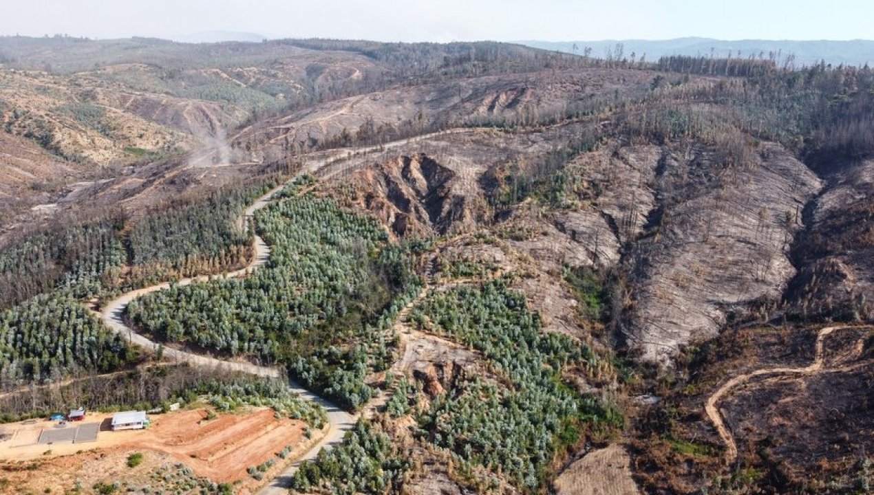 /actualidad/monocultivos-y-emergencias-el-congreso-acelera-proyectos-para-prevenir